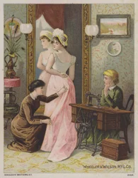 Wheeler and Wilson, Sewing Machine